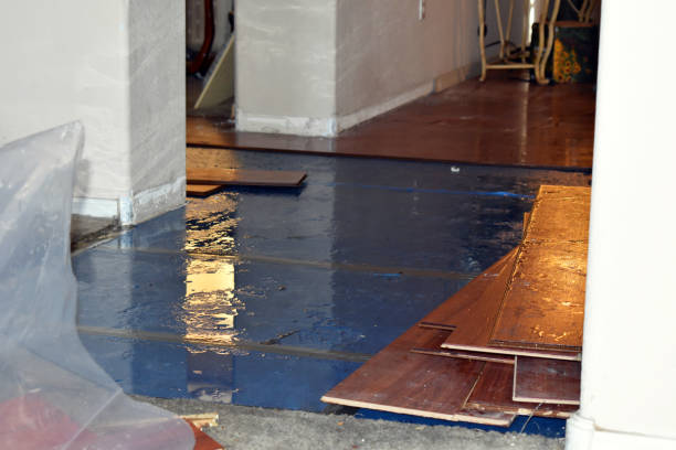 Professional Basement Water Removal technician working in Columbia Falls, ME